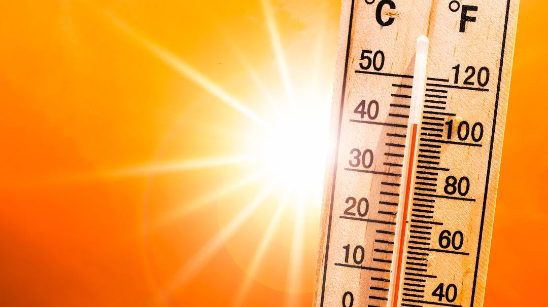 Top 10 des conseils en cas de fortes chaleurs