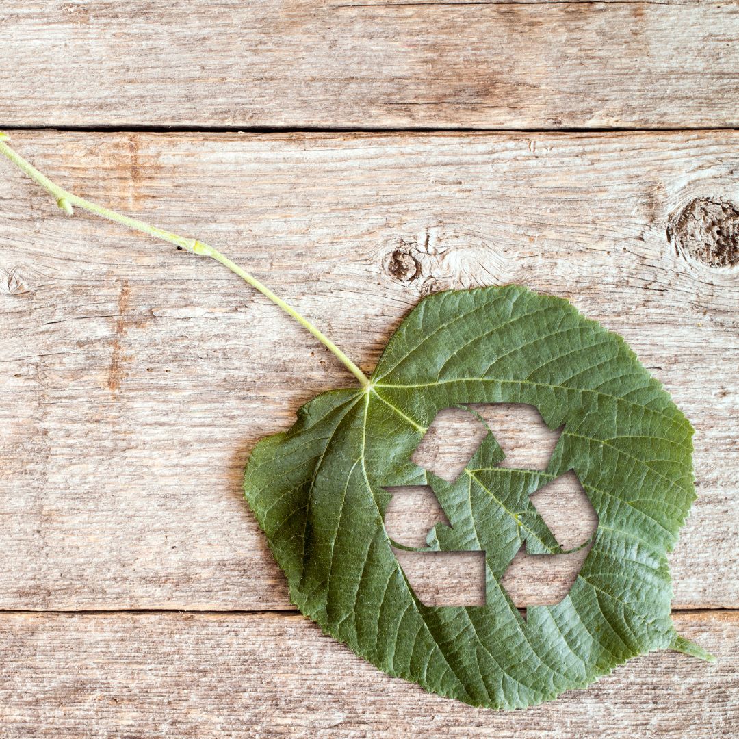 Top 10 des réflexes pour un quotidien plus écologique